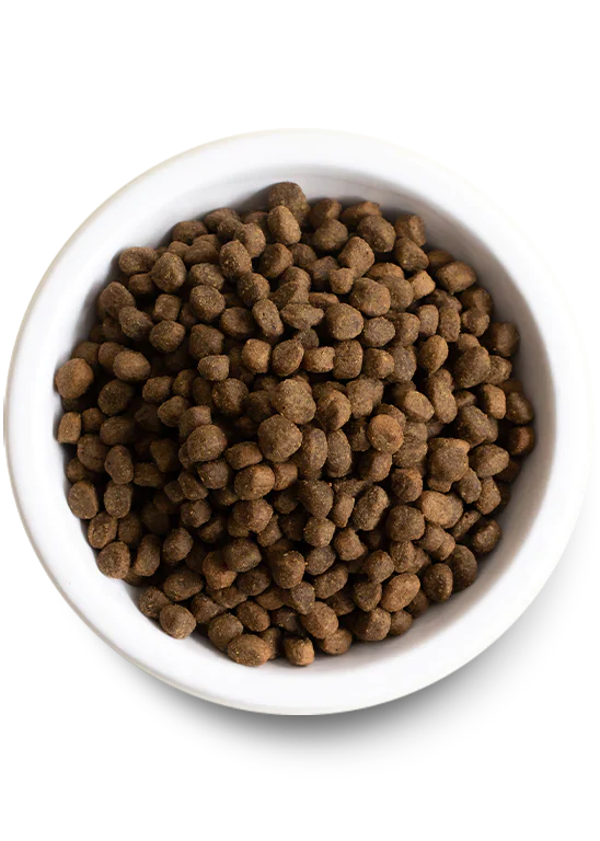 Open Farm | Pasture Raised Lamb & Ancient Grains | Dry Dog Food Near Me Toronto | ARMOR THE POOCH